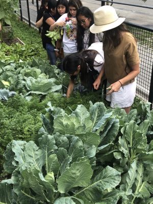 UNADJUSTEDNONRAW_thumb_14ed